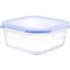 Kinetic Go Green Glassworks Elements Series 17-Ounce Square Food Storage Container with Vented Lid ,Clear