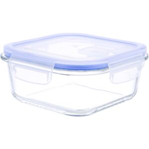 Kinetic Go Green Glassworks Elements Series 17-Ounce Square Food Storage Container with Vented Lid ,Clear
